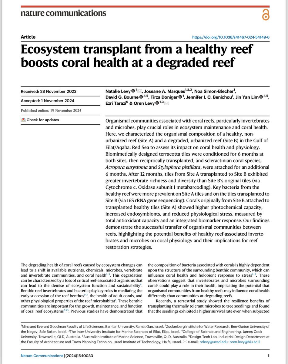 Natalie Levy (@drnatalielevy) on Twitter photo 🚨New paper in <a href="/NatureComms/">Nature Communications</a> : Ecosystem transplant from a healthy reef boosts coral health at a degraded reef! Shifting invertebrates & microbes to a nearby degraded reef improves coral health & reduces stress🪸 <a href="/levy_lab/">Levy Coral Lab</a> #CoralHealth #ReefRestoration #EcosystemTransplant 🚨New paper in <a href="/NatureComms/">Nature Communications</a> : Ecosystem transplant from a healthy reef boosts coral health at a degraded reef! Shifting invertebrates & microbes to a nearby degraded reef improves coral health & reduces stress🪸 <a href="/levy_lab/">Levy Coral Lab</a> #CoralHealth #ReefRestoration #EcosystemTransplant