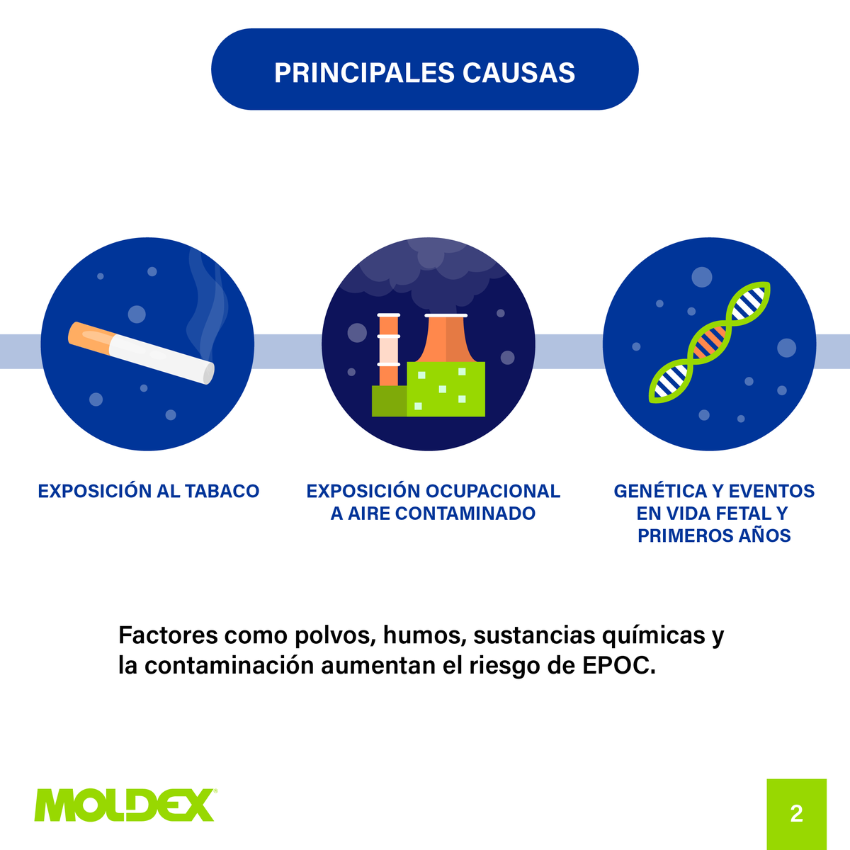 Moldex_AmLat's tweet photo. 🌬️En el Día Mundial de la EPOC, cuidemos nuestros pulmones.
Factores como el tabaco 🚬, la contaminación 🌫️ y la exposición laboral 🏭 pueden causar daños irreversibles.
💙 En Moldex, te ofrecemos soluciones en protección respiratoria.
#Moldex #EPOC #Salud #EHS #EPP https://t.co/G8ZLztIr0Y