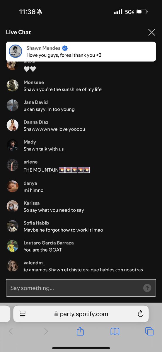 Bgrad22's tweet image. Perfect way to listen to the album. It is so intimate and serene. My heart is full @ShawnAccess @ShawnMendes #Shawn