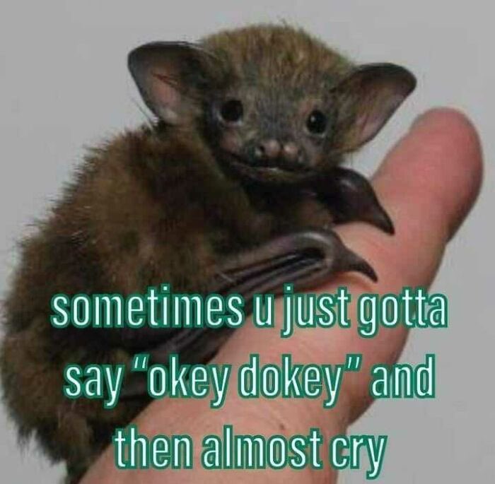 The Notorious J.O.V. tweet media