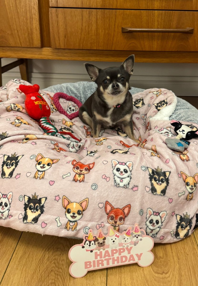 I’s in double digits furrends! It’s my 10th Birthday today! Love Lily 🥰🎉🎈