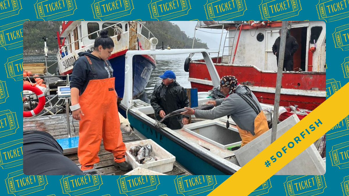 Between 2021 and 2023, Mi Caleta generated over 33.7 million pesos for formal artisanal fishing, working with 16 organizations and commercializing more than 10 tons of seafood products.

Learn how you can support our local partners at futureoffish.org/50-50.

#50forFish #SDG14