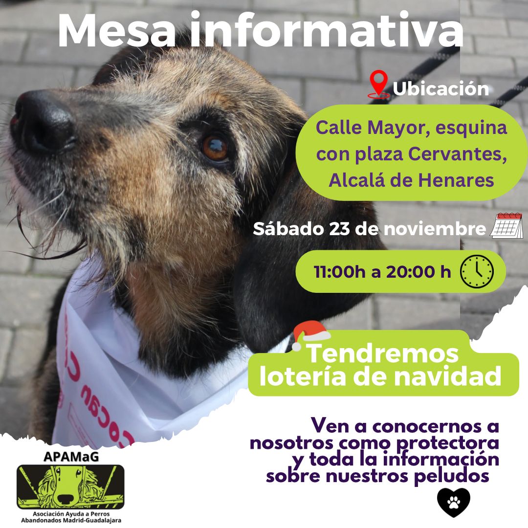 AlcalAntitauri1's tweet photo. ¿Has firmado ya para que la tauromaquia deje de ser patrimonio cultural 🫶? Tenemos menos de 2 meses para superar las 500.000 firmas en la ILP de @NoEsMiCultura 🙏. Puedes firmar este sábado en la mesa que @PerrosMadGuada pondrá en la calle Mayor de Alcalá de Henares. ¡Vamos💪! https://t.co/Lmc1MiEjRj