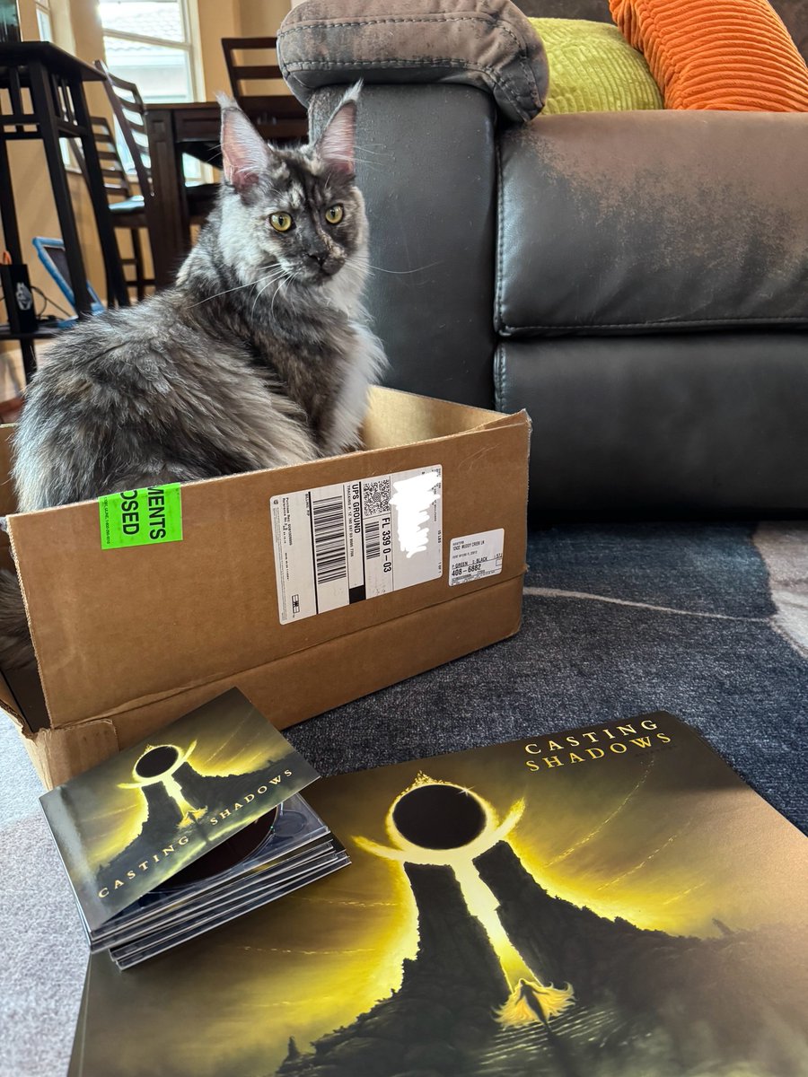 Aviators84's tweet photo. Despite some minor interference from our "helper", the CD preorders are shipped and done! Casting Shadows CDs are now back in stock as well as a couple older extras. https://t.co/8Fq6Woo5sq https://t.co/QC2xqNeQrR