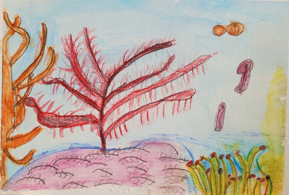 LittleArtStars's tweet photo. We just loved these artworks from our class at @OnthankSchool, aren’t they fantastic!

The class enjoyed using a variety of mediums, including watercolour paints, watercolour pencils and gouache paints to create their underwater coral scenes. https://t.co/NdPw6yTN9i