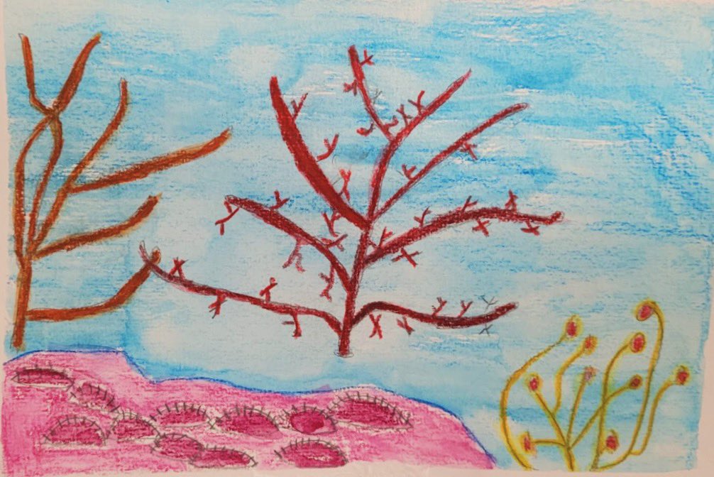 LittleArtStars's tweet photo. We just loved these artworks from our class at @OnthankSchool, aren’t they fantastic!

The class enjoyed using a variety of mediums, including watercolour paints, watercolour pencils and gouache paints to create their underwater coral scenes. https://t.co/NdPw6yTN9i