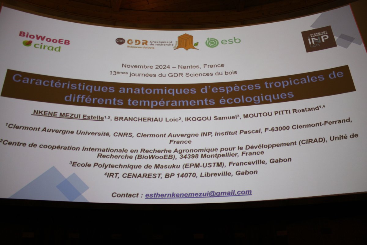 GDR-Bois tweet media