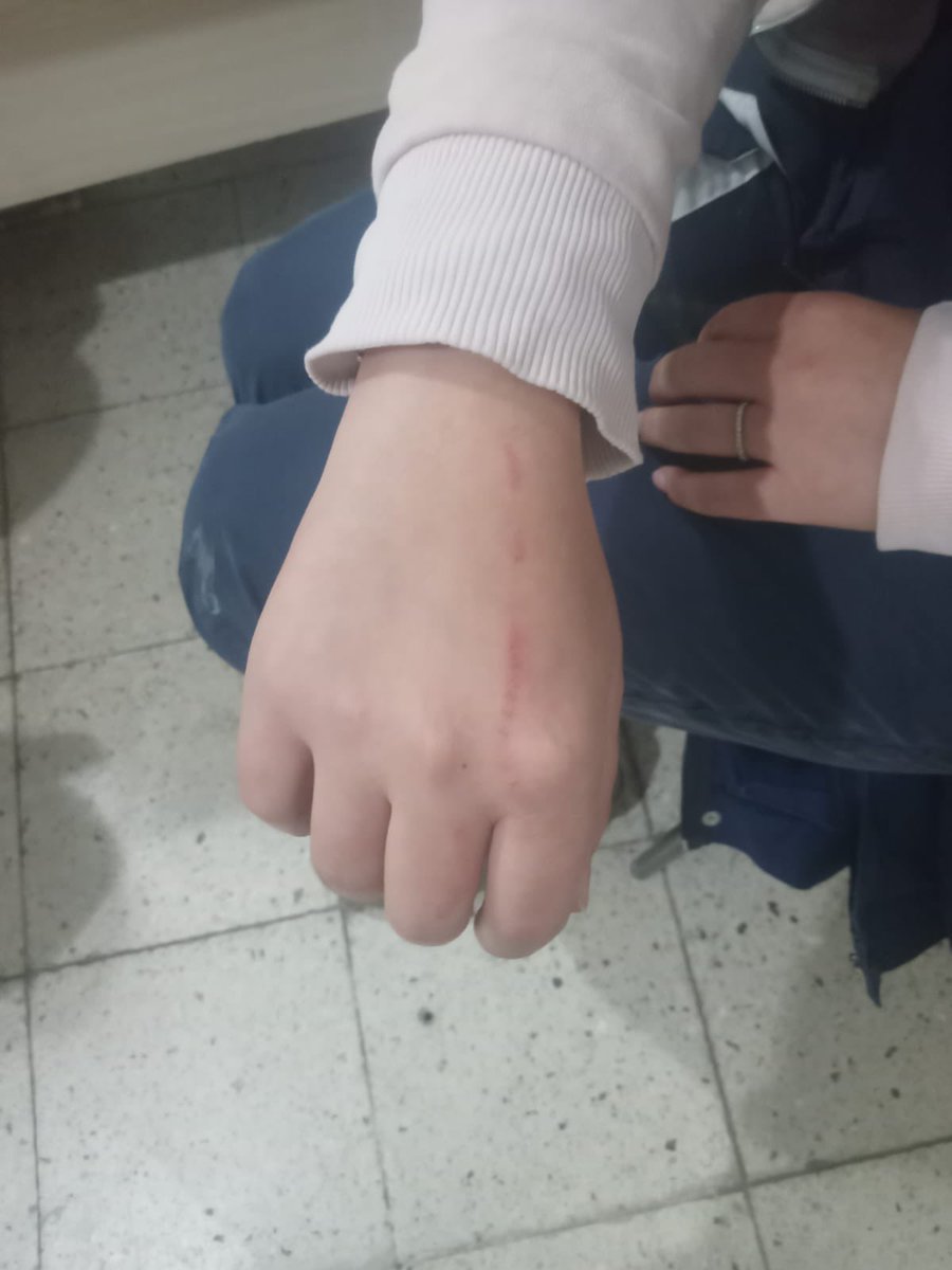 HEKİMLERE ŞİDDET

Tarım ve Orman Bakanlığı personelleri Veteriner Hekim ve Sağlık Hizmetleri Çalışanları Hakkari’de Baltalı Saldırıya Uğradı.

Balıkesir İl Tarım ve Orman Müdürlüğünün farklı ilçelerinde görevli Veteriner Hekimler, Tarım ve Orman Bakanlığının 14.11.2024 tarihli