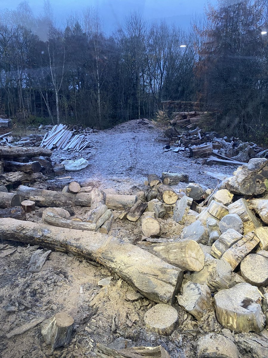 shokidq's tweet photo. Loving these frosty mornings #firewood merchant #logsupplier #woodburner https://t.co/SXibuUDMtT