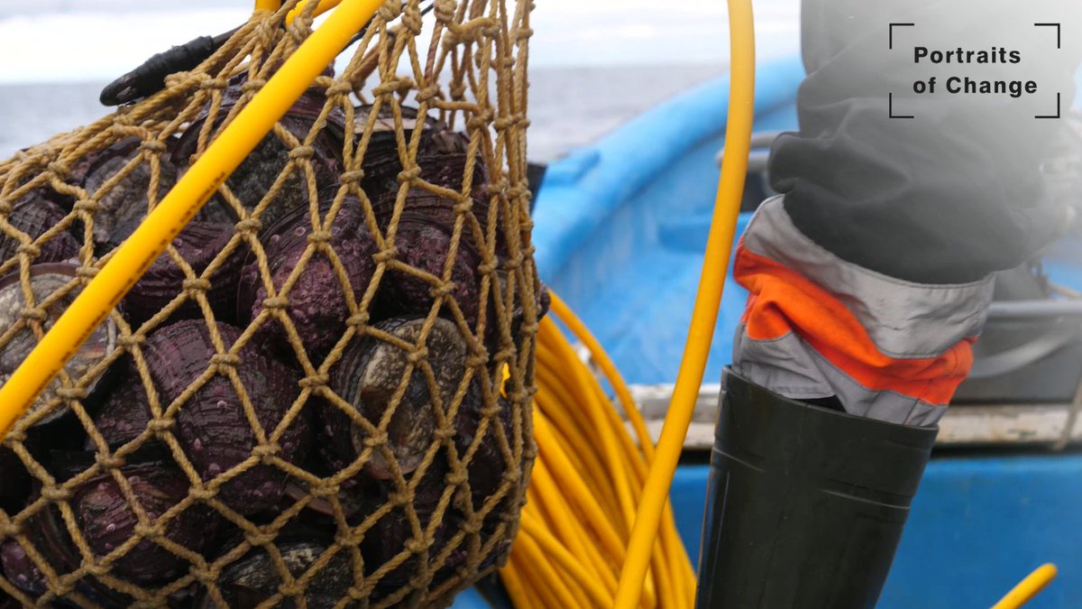 BlueFoodFutures's tweet photo. Small-scale fishers are working to ensure a sustainable future for our #ocean &amp; the communities that depend on them. In #Chile, shellfish divers found a way to increase profits &amp; prevent overharvesting.

Watch Zoila's #PortraitsOfChange story at: https://t.co/VILQG9DR9V https://t.co/aHQtSO7WGI