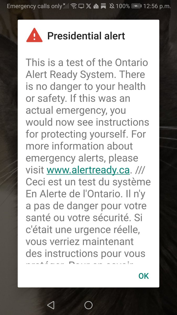 Kaz the Honkler tweet media