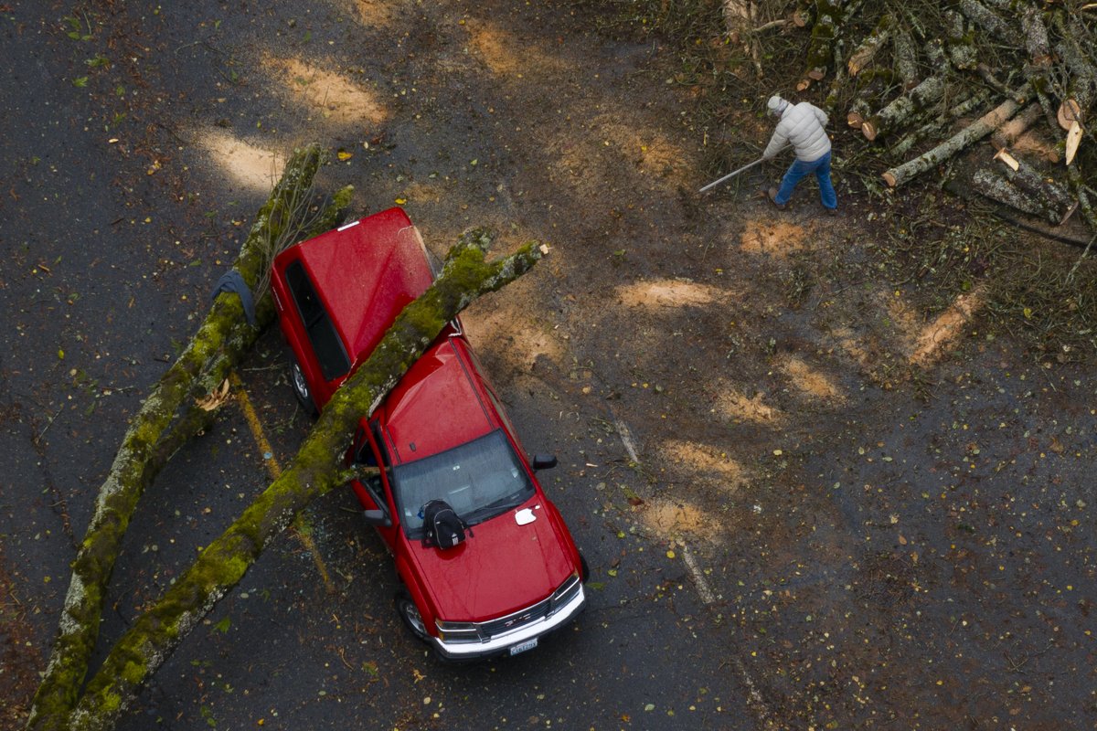 David Ryder tweet media