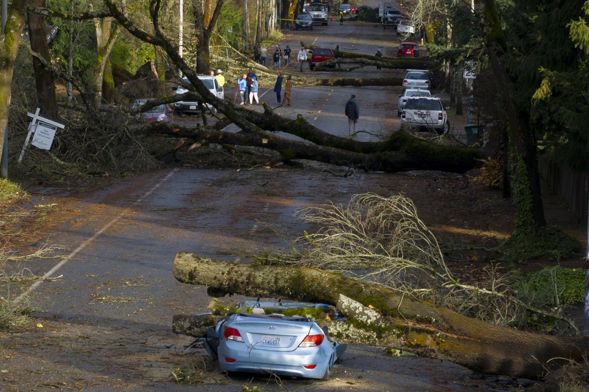 David Ryder tweet media