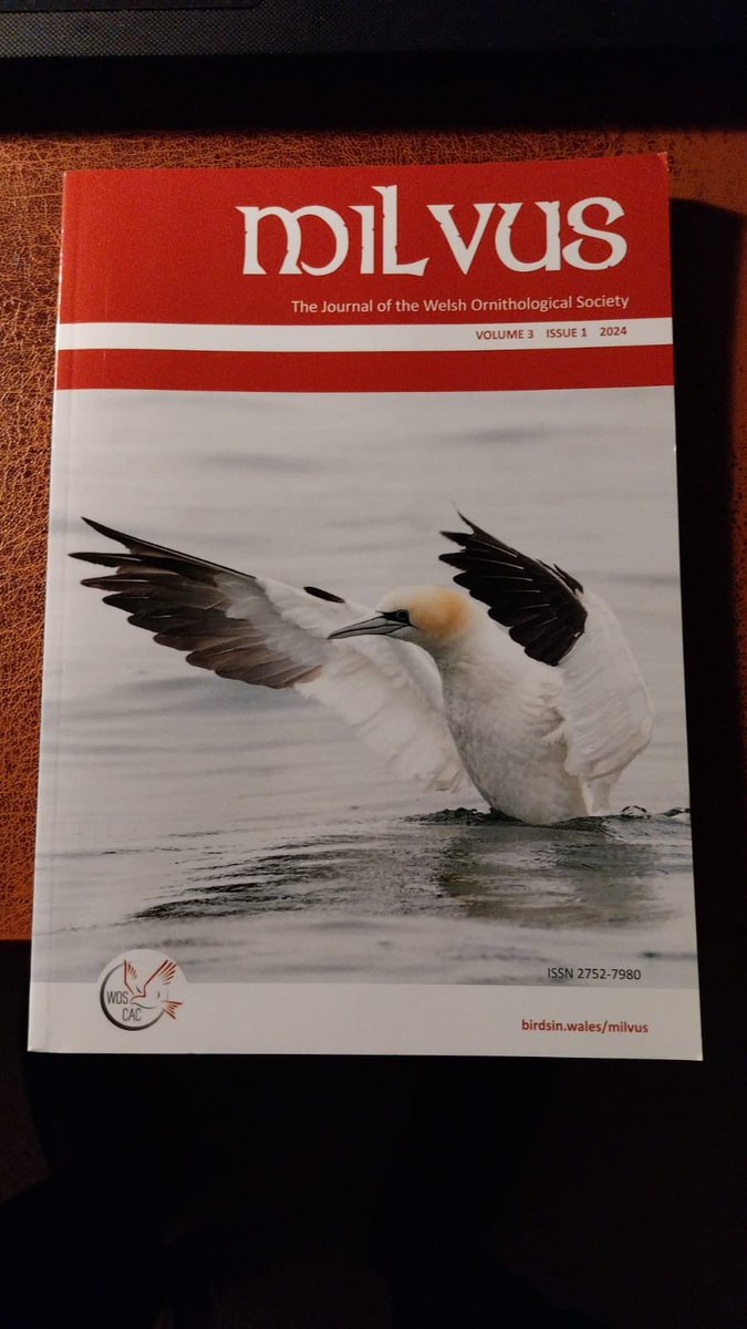 Welsh Ornithological Society 🏴 (@birdsinwales) on Twitter photo The brilliant new Milvus issue is en route to members - the first issue of new editor <a href="/fidhw/">Dr. Rachel C. Taylor (commissions available)</a> 🙌. Join us - it is the only way to receive this brilliant publication.
Mae Milvus ar ei ffordd i’n aelodau! Cofiwch ymuno â ni i dderbyn y cylchgrawn gwych yma.
birdsin.wales/join-wos/ The brilliant new Milvus issue is en route to members - the first issue of new editor <a href="/fidhw/">Dr. Rachel C. Taylor (commissions available)</a> 🙌. Join us - it is the only way to receive this brilliant publication.
Mae Milvus ar ei ffordd i’n aelodau! Cofiwch ymuno â ni i dderbyn y cylchgrawn gwych yma.
birdsin.wales/join-wos/
