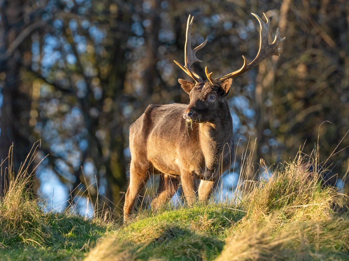 Paul Murphy Out and About tweet media