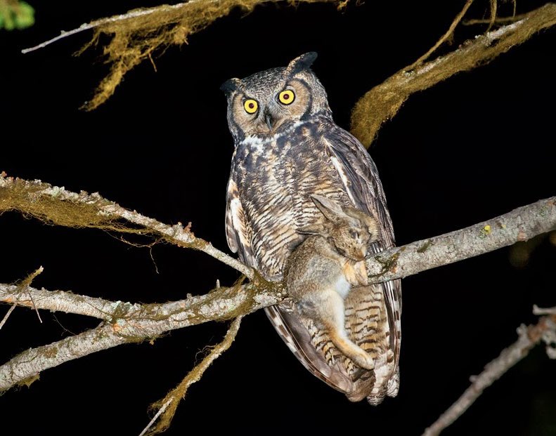 Max Salty tweet media