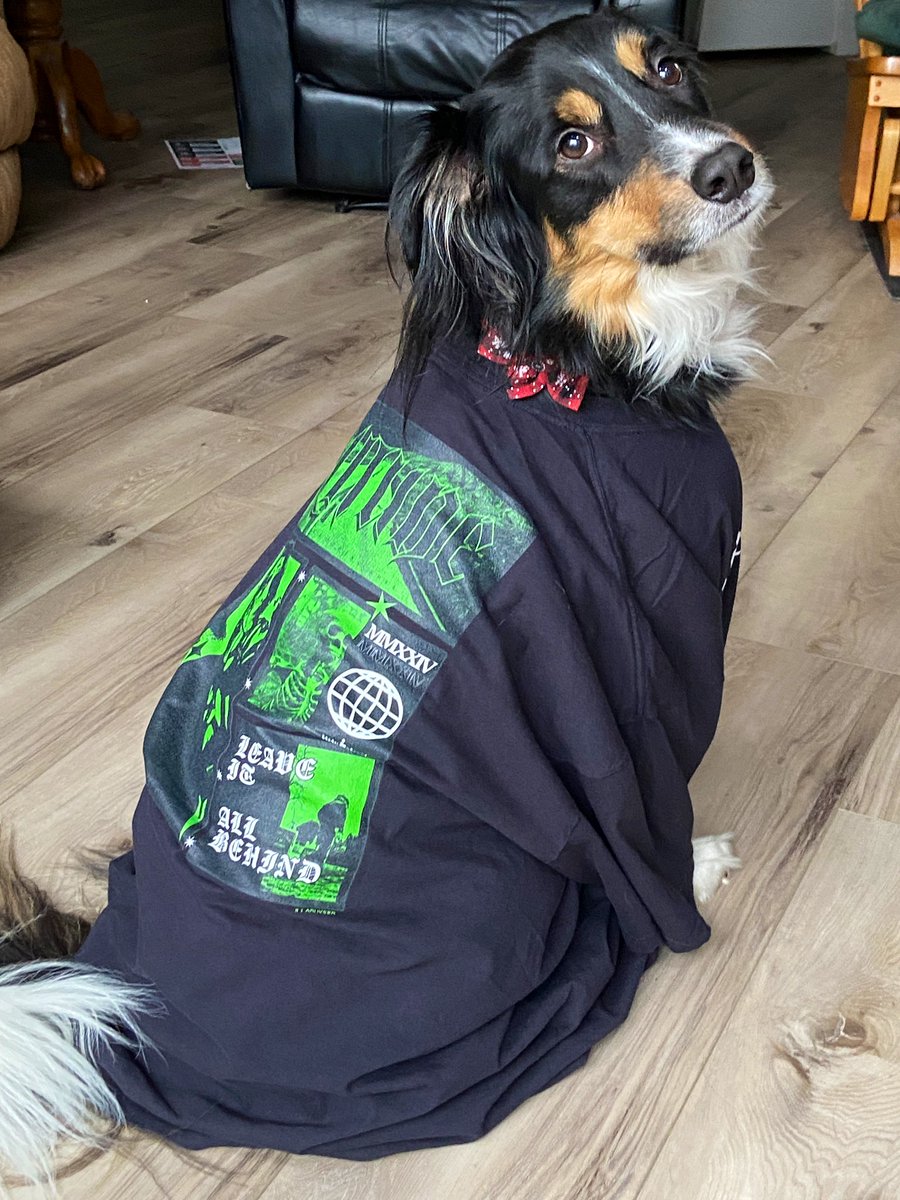 buh_boofus's tweet photo. The clothes are Charlie approved @Illadvysed 

Ps, you need a model for other clothes? He’s available https://t.co/l2Qeh0pxxM