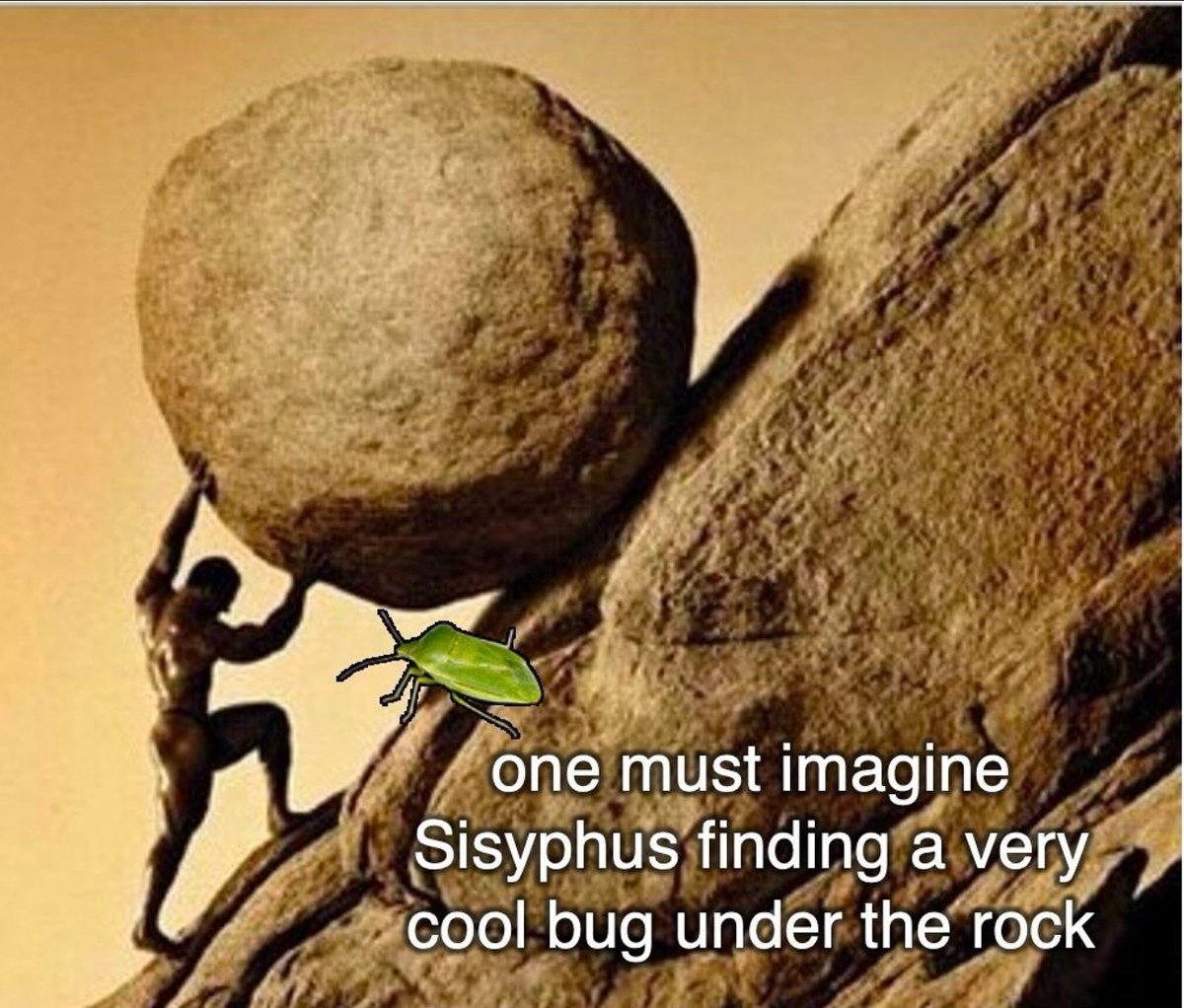 stance_journal's tweet photo. Kicking off wednesday with a #philosophymeme https://t.co/KXL9dDcgVN