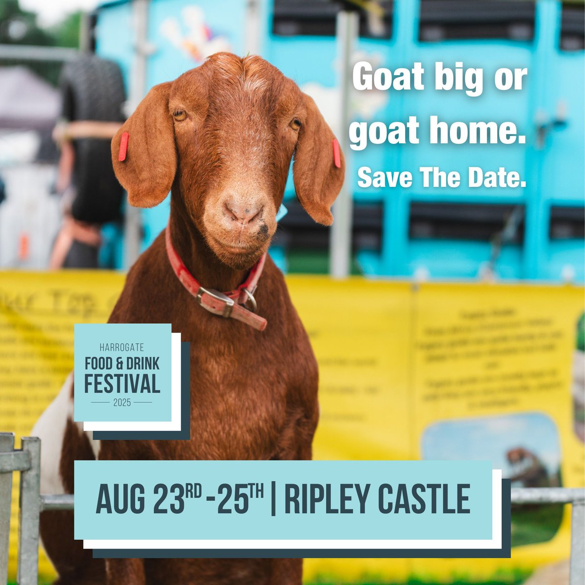 Harrogate Food & Drink Festival tweet media