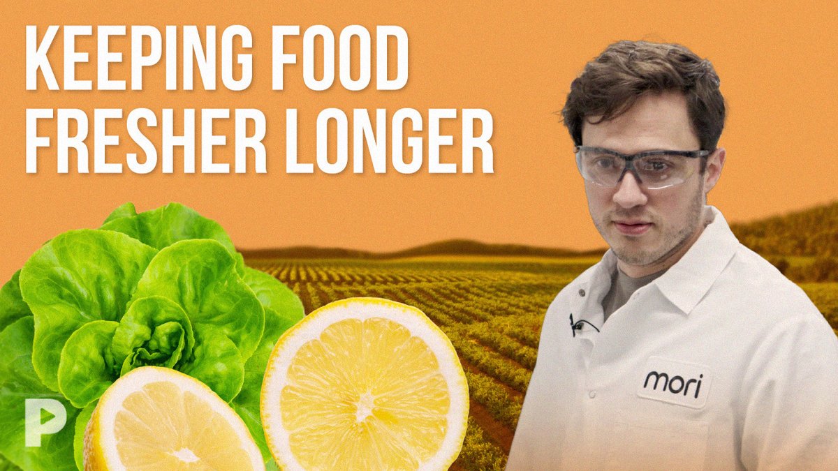 #FoodWaste is a major issue. Watch how Mori uses silk to extend shelf life and create a more sustainable food system: bit.ly/48XmoCc #ReinventingTomorrow #FoodTech Presented by Change Forces bit.ly/3UE8cIt.