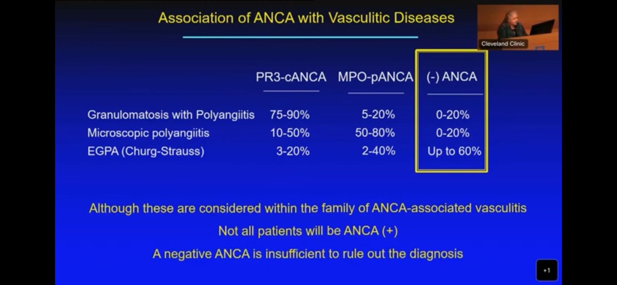 prakashini_'s tweet photo. Today’s ✈️ entertainment, rather infotainment!
A quick refresh on AAV
🔥Essentials ⬇️
This is a lecture from 2023 by the current #ACR President Prof Langford
#YT is one of the best places to learn and revise!
#RheumTwitter #MedTwitter #vasculitis #examfever https://t.co/1rV3WBB8go