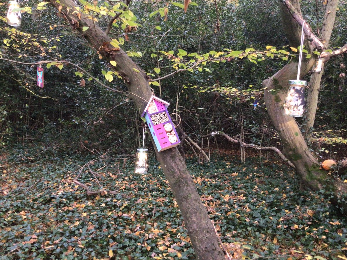 The #fairytrail in Herftord Heath is a project that <a href="/HaileyburyUK/">Haileybury</a> pupils created two years ago and it keeps growing! The latest addition: fairy lights + books that you can  find even in the dark! Well done Ms. Alway &amp; Ms. Donkin for this project! <a href="/ColvinHouse/">Colvin House</a> <a href="/AlbansHouseUK/">Alban's House</a>