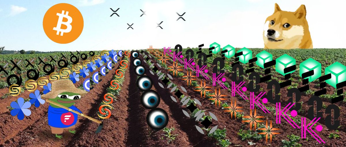 Flare ☀️ tweet media