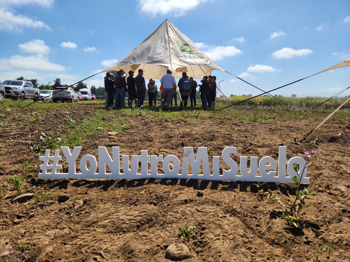 INIAQuilamapu's tweet photo. Día de campo “Rotaciones de cultivos y manejo sostenible de rastrojos” en #Chillán (organizado x @iniachile #conaf y #FAO) promovió prácticas amigables con medio ambiente que estimulan economía circular de predios agrícolas.
#YoNutroMiSuelo
#CuidadoDelSuelo 
#ManejoDeRastrojos https://t.co/oGpooE4Ro2