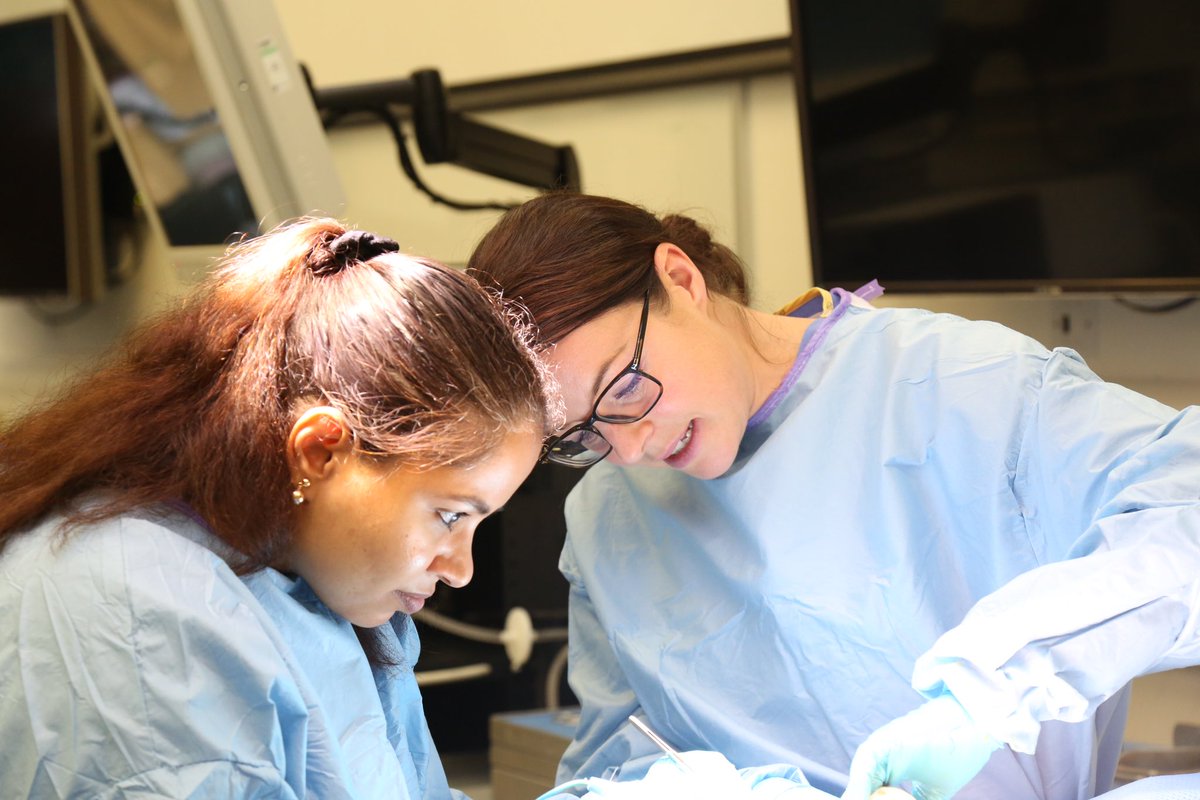 Vivienne Blackhall tweet media