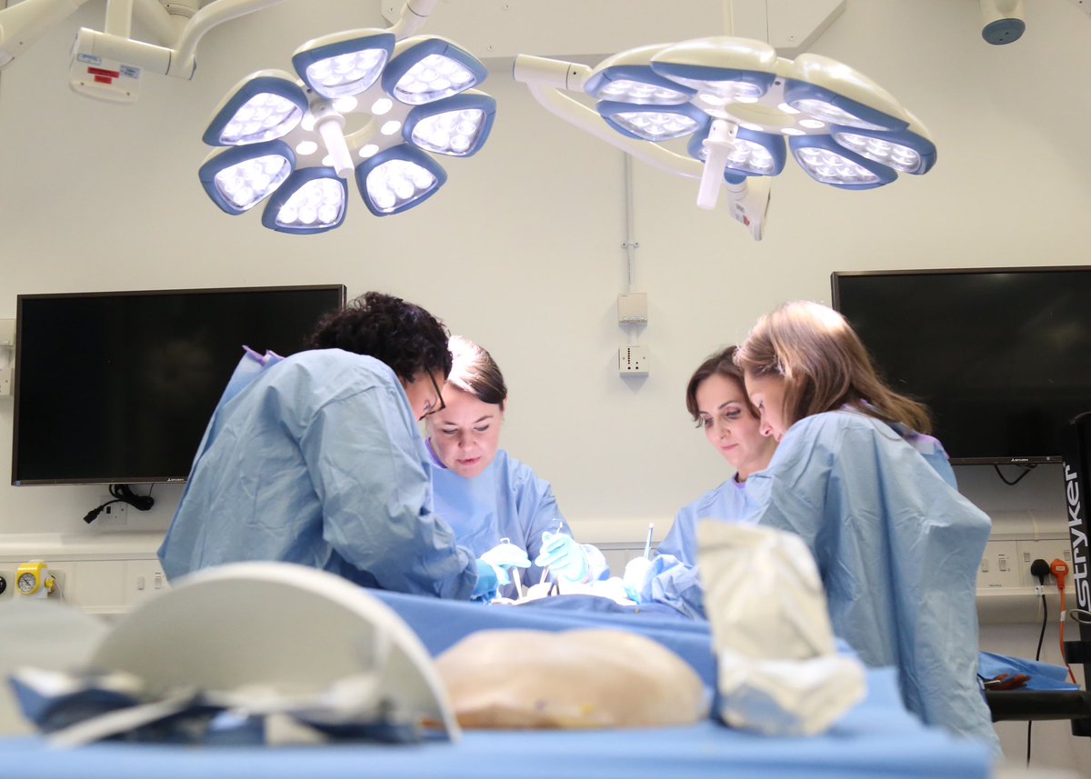 Vivienne Blackhall tweet media