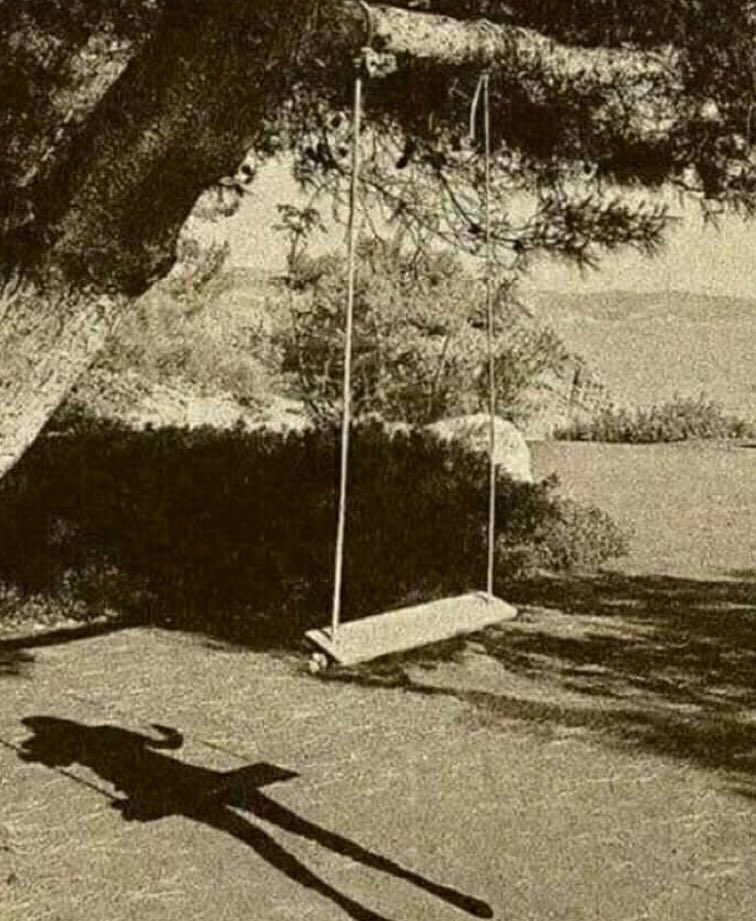 حبيبيتي .. لولا تْعَشيم الاماني 
.….  ما كان قلبي يستبيح التجاريح
شوفيه ظنّ الشعر هذا  : أغاني
… وأن الهموم اللي تهزّه : مراجيح!