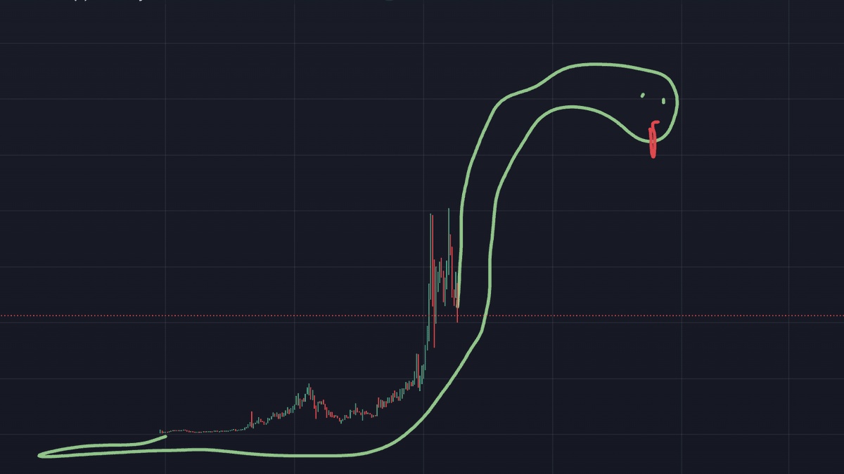 Snake wif Hat tweet media