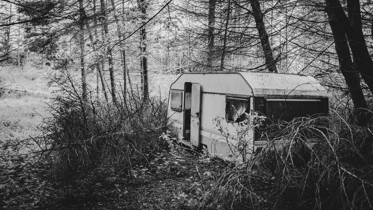 Robin Hunter 🇪🇺 tweet media