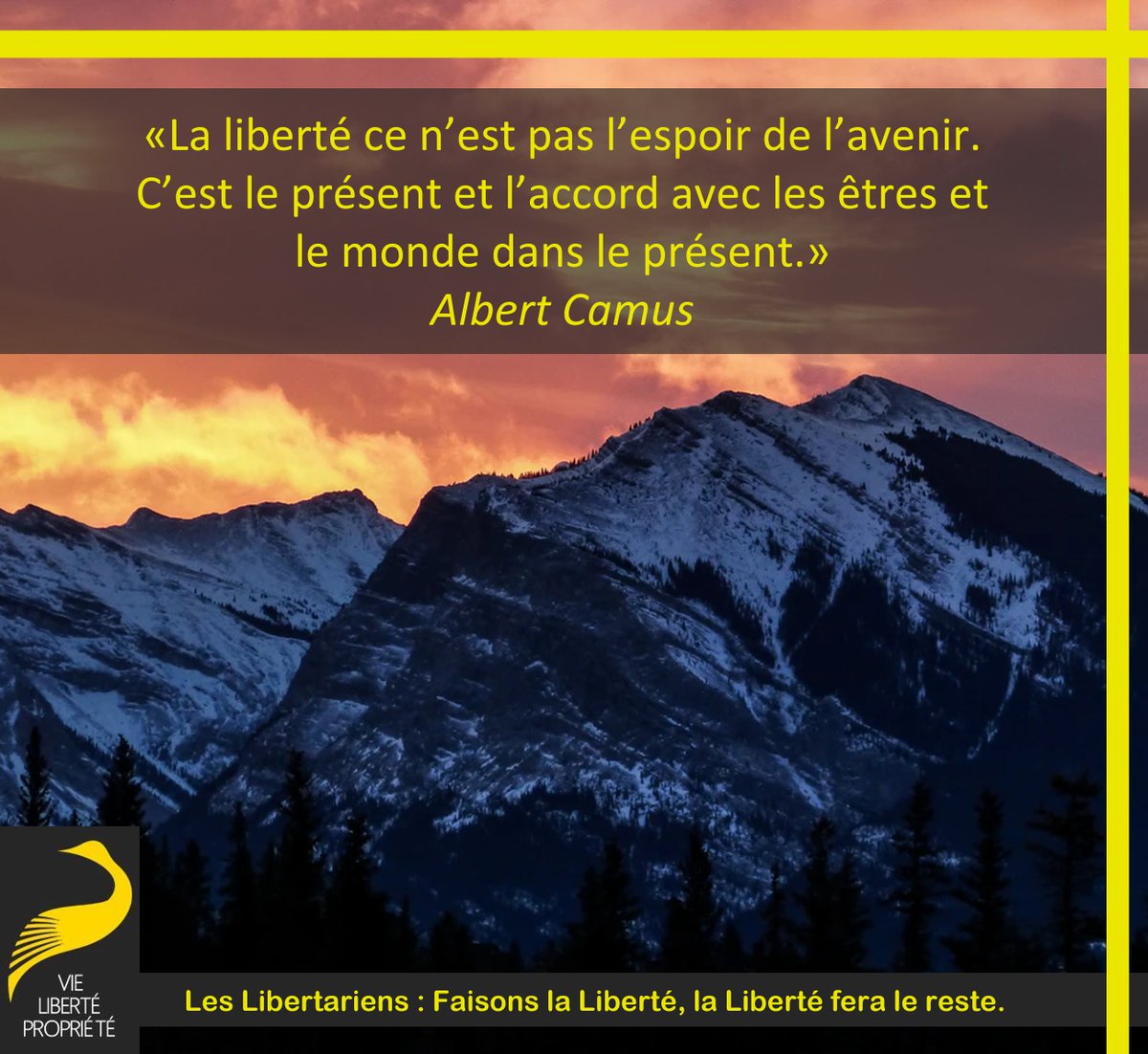 StephaneGeyres's tweet photo. La liberté ce n’est pas l’espoir de l’avenir. C’est le présent et l’accord avec les êtres et le monde dans le présent.
Albert Camus
#RespectMutuel #Négociation #Paix #NonAgression https://t.co/JfiBlqfNXk