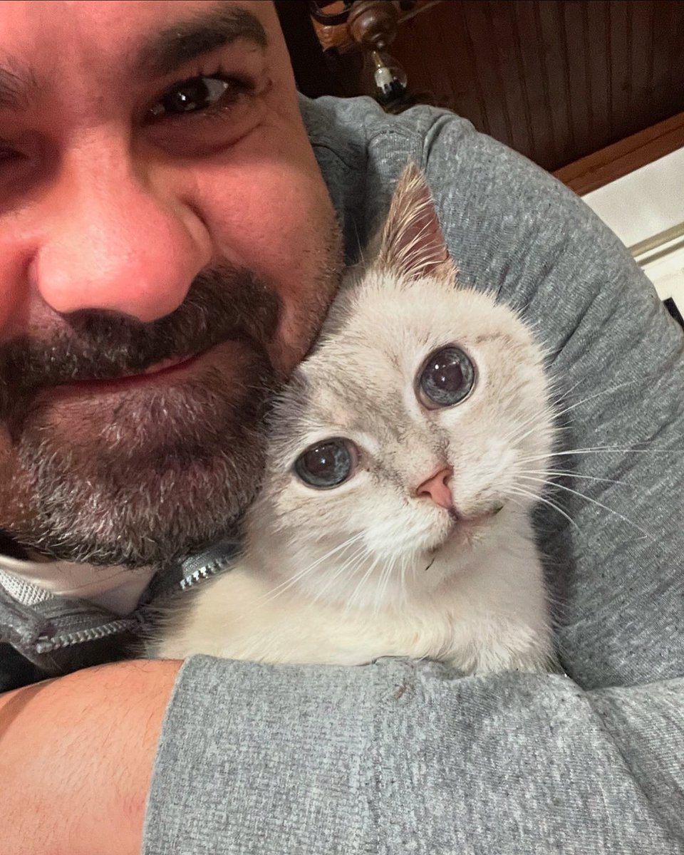 FabioLegoman's tweet photo. 😽 https://t.co/hoR1c3ozpi
