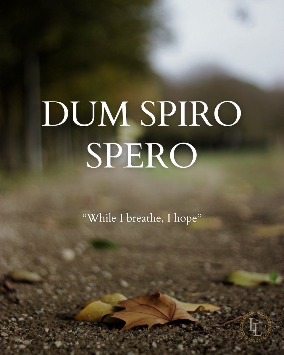 Learn Latin tweet media