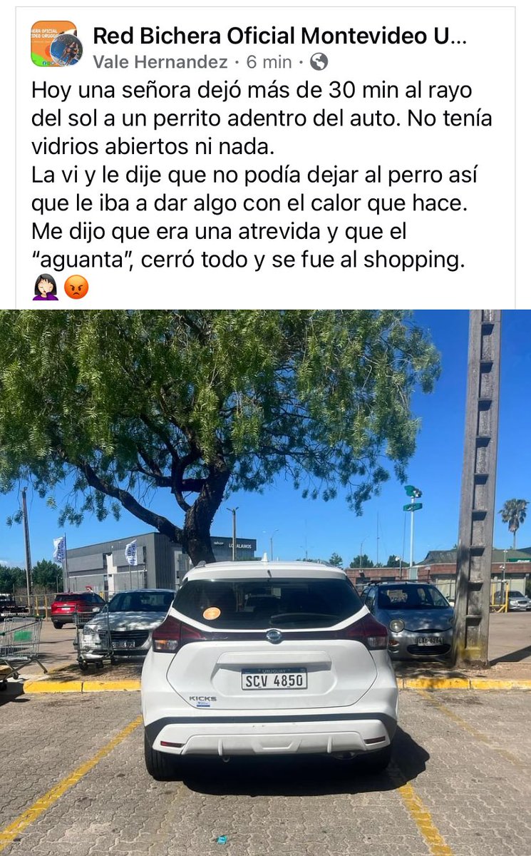 Adriana43587622's tweet photo. Compartan 🙏🏻 https://t.co/8AQfkaCTqR