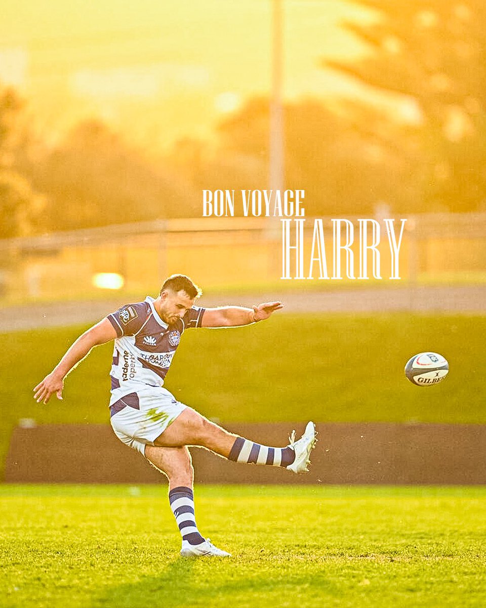 Auckland Rugby (@aucklandrugby) on Twitter photo Harry leaves a 50 game veteran, an NPC Championship, a Super Rugby Champion (twice) and an All Black.
We wish you all the best with your next adventure, and will always leave the door open should you return π«‘ππ€
πΈ: <a href="/PhotosportNZ/">photosport.nz</a> Harry leaves a 50 game veteran, an NPC Championship, a Super Rugby Champion (twice) and an All Black.
We wish you all the best with your next adventure, and will always leave the door open should you return π«‘ππ€
πΈ: <a href="/PhotosportNZ/">photosport.nz</a>