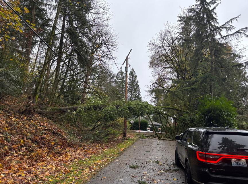 MedinaPoliceWA's tweet photo. Windstorm caused trees &amp; powerlines to go down throughout the Points Communities. 7800 blk NE 32nd ST &amp; 87th AVE NE @ NE 10th ST closed. In an emergency, 80th AVE NE can be accessed via the walking path that has been opened for essential traffic, but watch for pedestrians. https://t.co/fy6Gi9ytx2