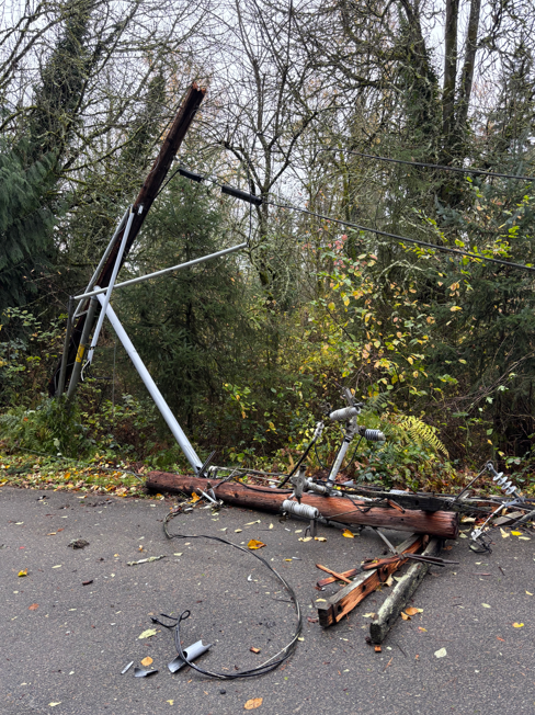 MedinaPoliceWA's tweet photo. Windstorm caused trees &amp; powerlines to go down throughout the Points Communities. 7800 blk NE 32nd ST &amp; 87th AVE NE @ NE 10th ST closed. In an emergency, 80th AVE NE can be accessed via the walking path that has been opened for essential traffic, but watch for pedestrians. https://t.co/fy6Gi9ytx2