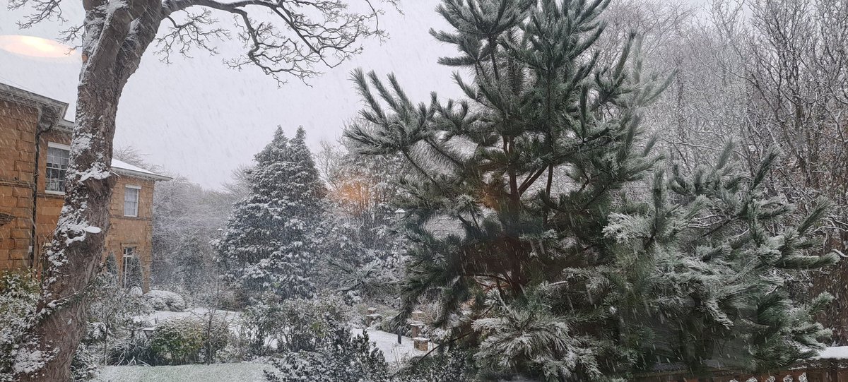 Jayne Shipley💙 tweet media