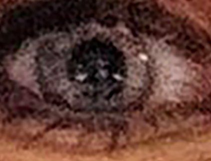 JohnELTenney's tweet photo. Horrible person Nan Mace pretends to want UAP disclosure but didn't think we would see that she took this photo while standing in a room with three grey aliens.
#uapdisclosure #UAPHearing #DiscLoser #SpaceyMacey #DumDum https://t.co/DQsSC50Joc