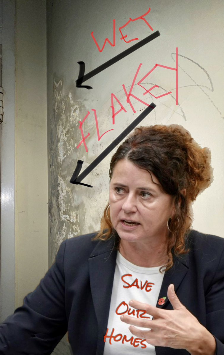 <a href="/pete556/">Pete Elliott</a> Funnily enough I feel like a Lambeth MUSHROOM… because they Keep Me In The Dark &amp; Feed Me Crap! <a href="/clairekholland/">Claire Holland</a> are you so ignorant of what you &amp; your subordinates are doing?