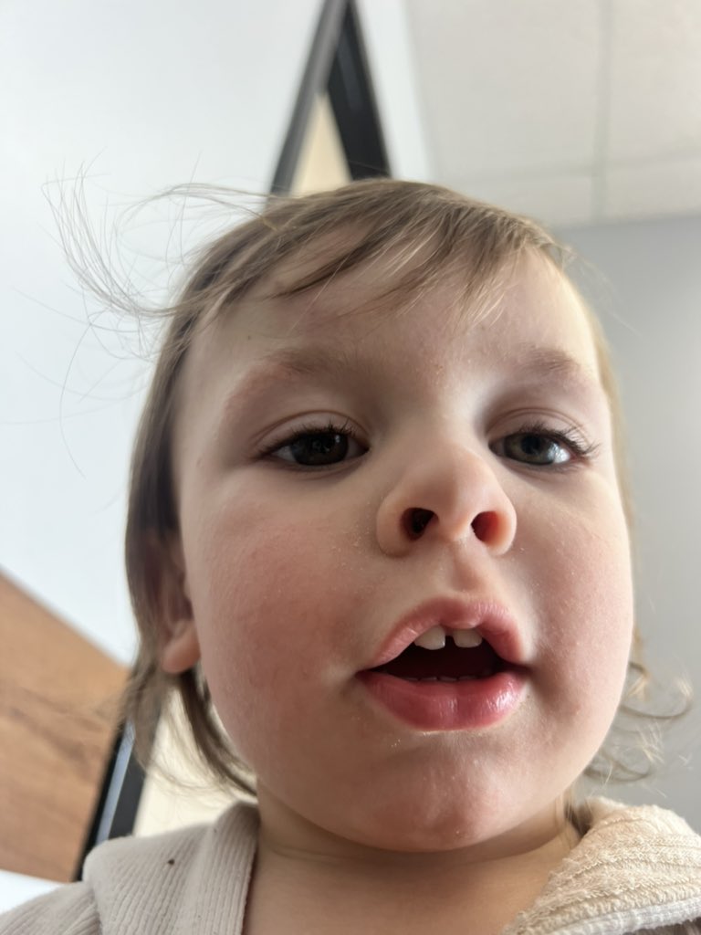 CHELSEA MEADE tweet media