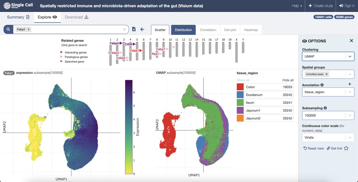 Single Cell Portal (@singlecellbroad) on Twitter photo Check out three new #singlecell studies on molecular cartography in mouse intestine by Toufic Mayassi, Chenhao Li and colleagues in Xavier lab <a href="/broadinstitute/">Broad Institute</a>:
singlecell.broadinstitute.org/single_cell/st…, singlecell.broadinstitute.org/single_cell/st…, singlecell.broadinstitute.org/single_cell/st… Check out three new #singlecell studies on molecular cartography in mouse intestine by Toufic Mayassi, Chenhao Li and colleagues in Xavier lab <a href="/broadinstitute/">Broad Institute</a>:
singlecell.broadinstitute.org/single_cell/st…, singlecell.broadinstitute.org/single_cell/st…, singlecell.broadinstitute.org/single_cell/st…