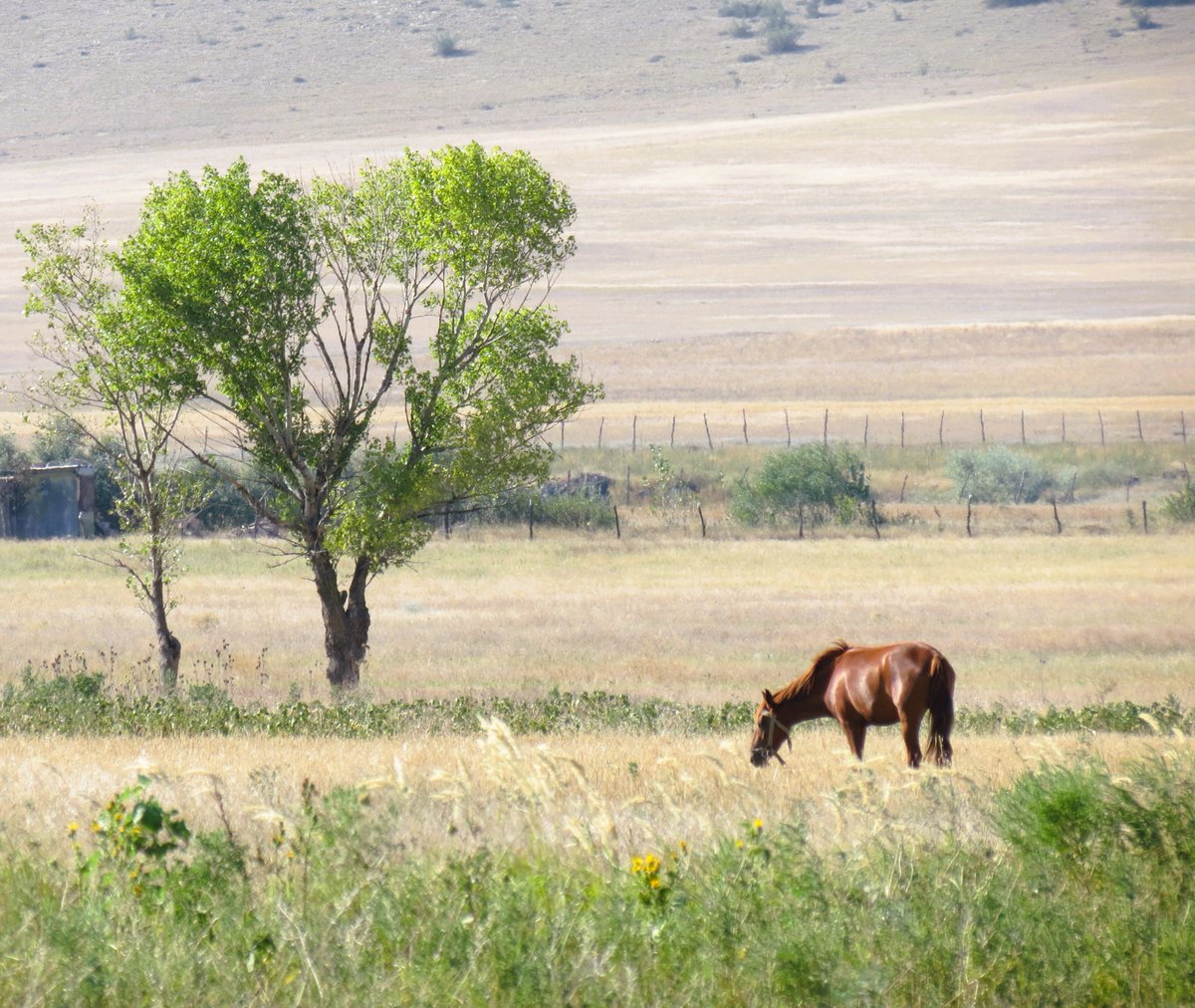 MQsovreli's tweet image. #photpgraphy  #World