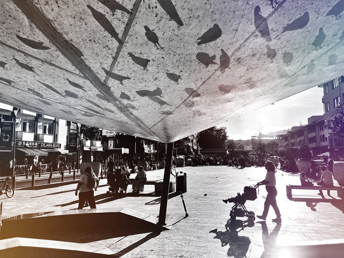 Şehir meydanında kuşların gölgeleri ve günlük hayatın siluetleri... 🌆
Gölgeler ve ışık arasında saklı hikayeler... 🕊✨
#SiyahBeyaz anların büyüsü 📸"