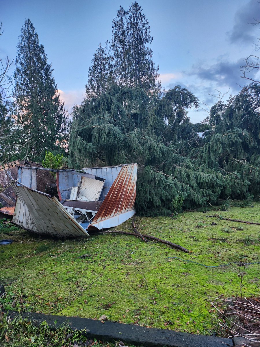 RIP Tetanus shed and big tree