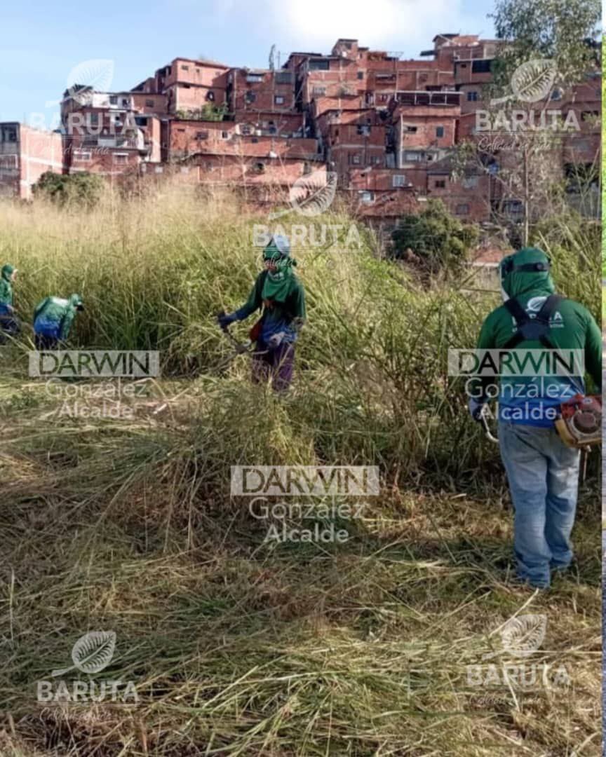 AlcaldiaBaruta's tweet photo. La cuadrilla de #ÁreasVerdes 🍃 realizó labores de desmalezado en diversos sectores del municipio: 

📍Urb. #Guaicay

📍Urb. #LasMinas

📍Urb. #AltoPrado

📍Urb. #SantaFeSur https://t.co/qOBRs3vRS8