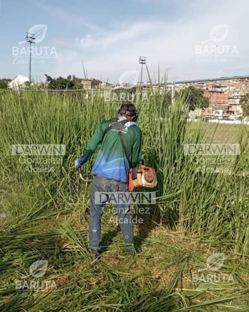 AlcaldiaBaruta's tweet photo. La cuadrilla de #ÁreasVerdes 🍃 realizó labores de desmalezado en diversos sectores del municipio: 

📍Urb. #Guaicay

📍Urb. #LasMinas

📍Urb. #AltoPrado

📍Urb. #SantaFeSur https://t.co/qOBRs3vRS8